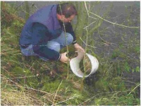 Sluizen restauratie schildpad.jpg