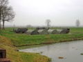 Miniatuurafbeelding voor de versie van 2 jul 2017 10:22