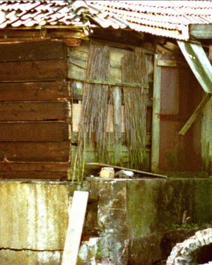 Kolenloods in verval.jpg
